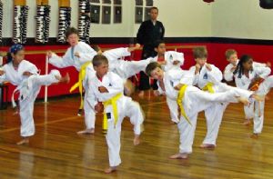 Class of Yellow and White Belts Kicking